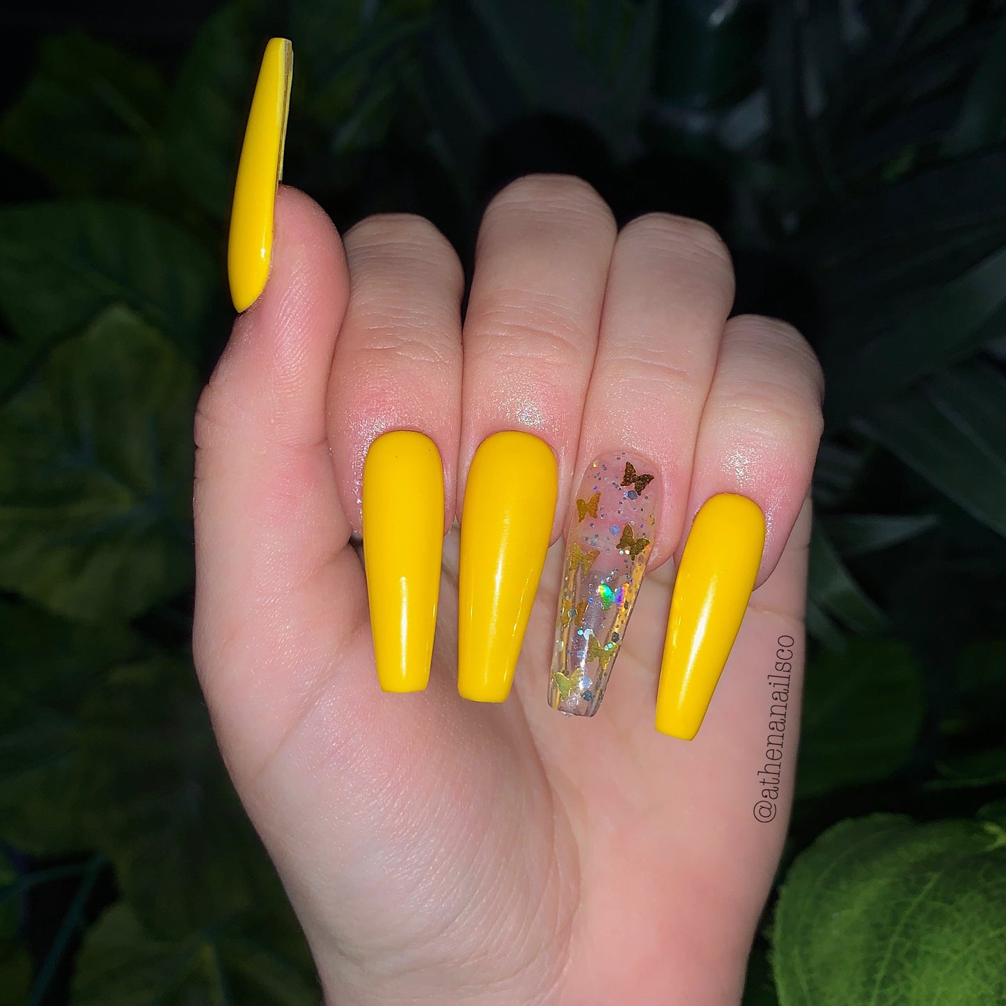 Yellow Butterfly by Athena Lash Co.