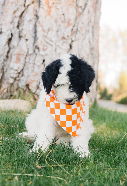 Orange Checkered Reversible Dog Bandana by Uptown Pups