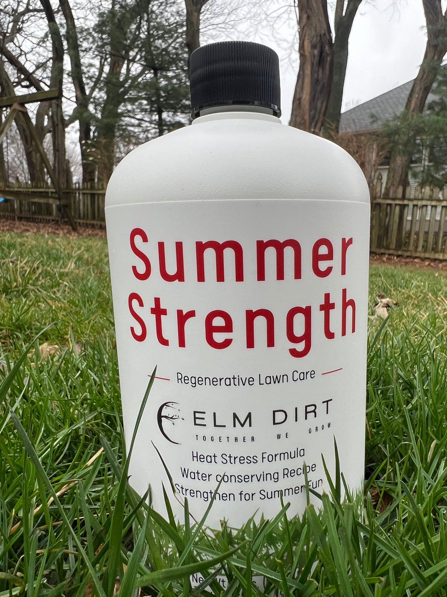 Regenerative and Sustainable Lawn Care by Elm Dirt