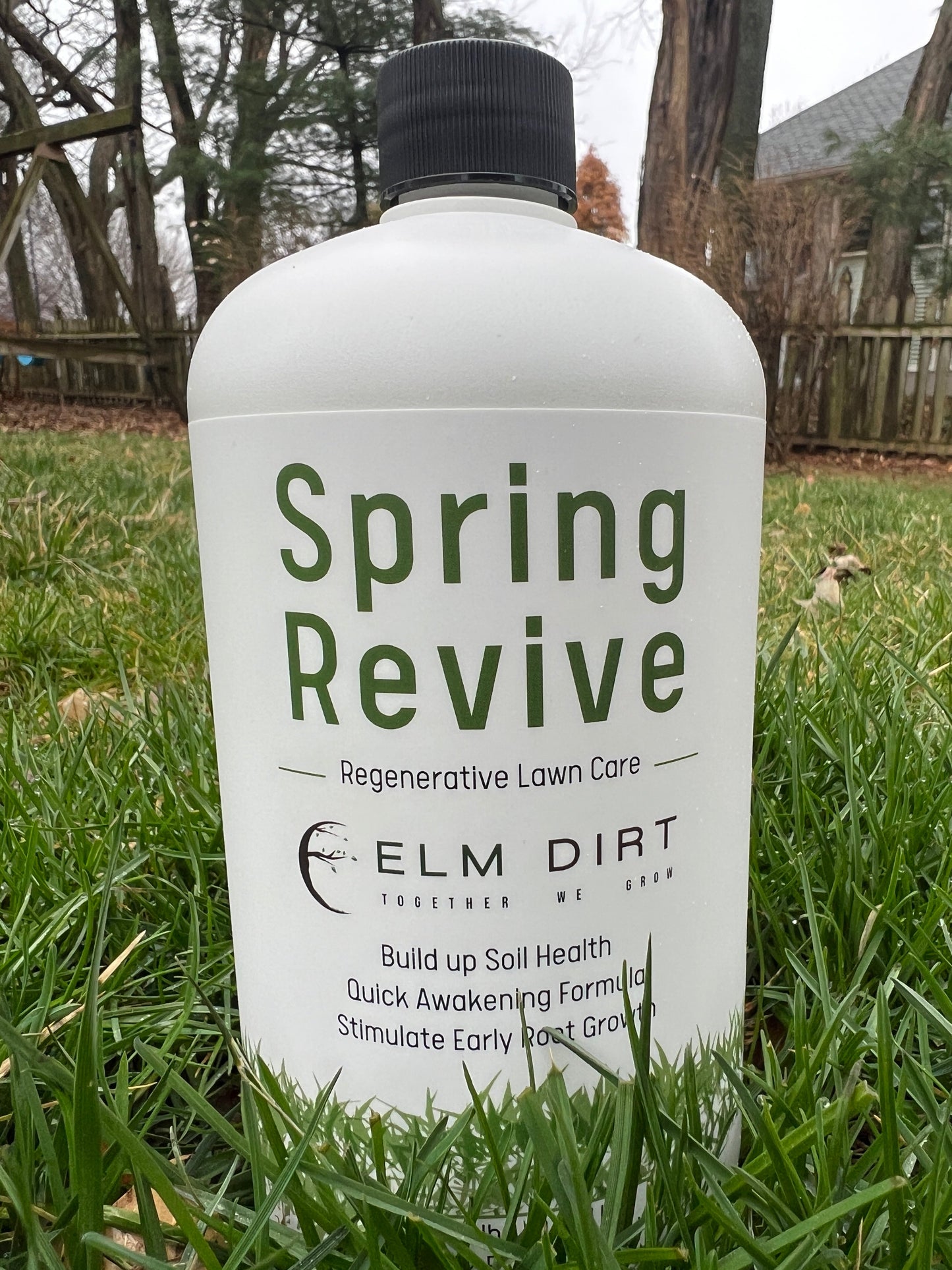 Yearly Regenerative and Sustainable Lawn Care by Elm Dirt