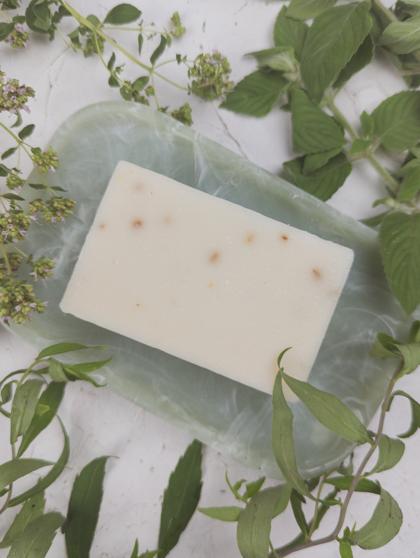 Tea Tree Mint Soap Scrub Bar by Ash & Rose