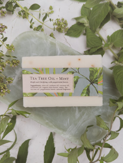 Tea Tree Mint Soap Scrub Bar by Ash & Rose