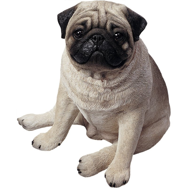 Sandicast "Life Size" Sitting Fawn Pug Dog Sculpture by Present Paper