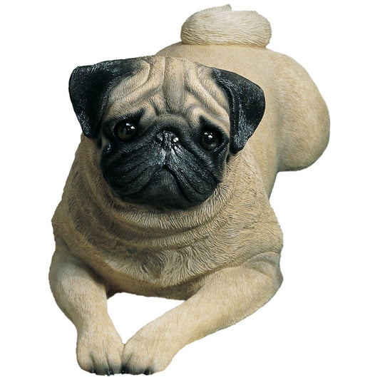 Sandicast "Life Size" Lying Fawn Pug Dog Sculpture by Present Paper