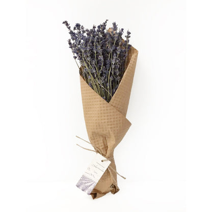 French Lavender Bundle by Andaluca Home