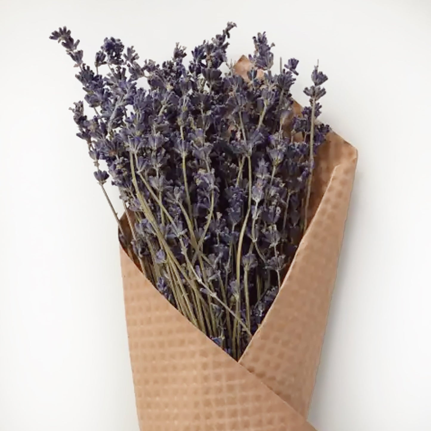 French Lavender Bundle by Andaluca Home