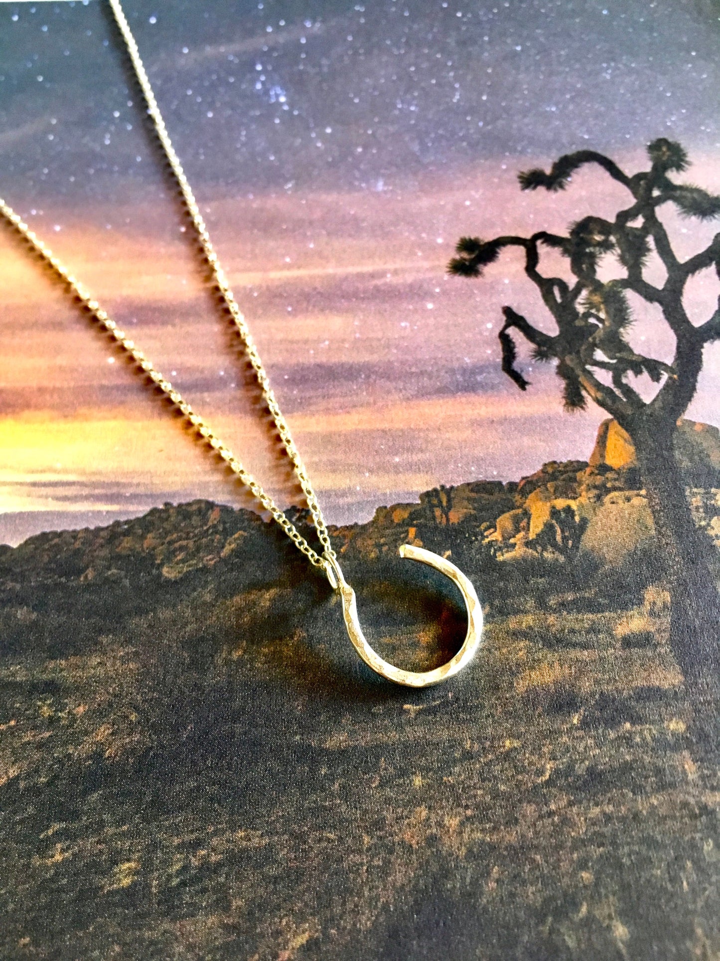 Hanging Lucky Horseshoe Charm Necklace by Jennifer Cervelli Jewelry