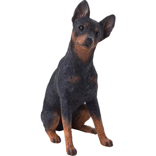 Sandicast "Mid Size" Sitting Black Miniature Pinscher Dog Sculpture by Present Paper