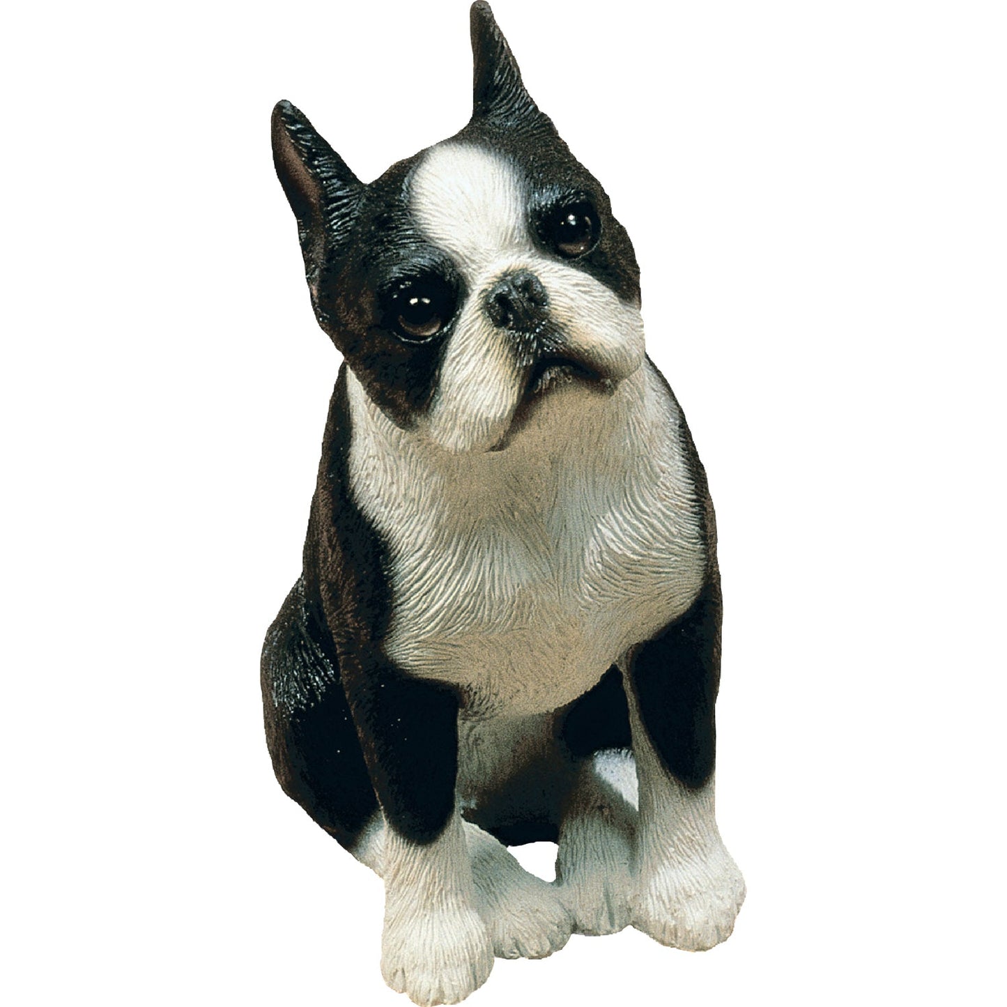 Sandicast "Mid Size" Sitting Boston Terrier Dog Sculpture by Present Paper