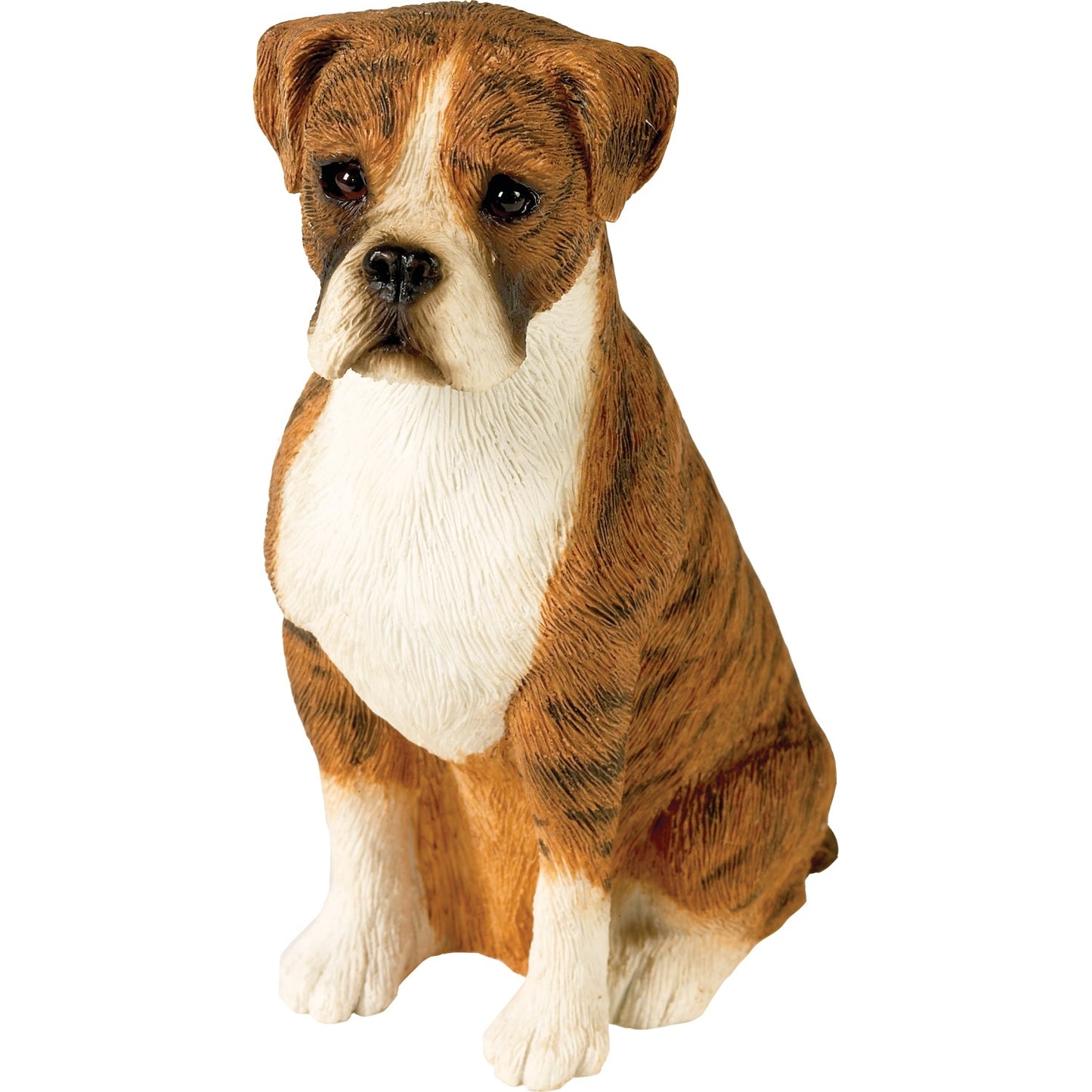 Sandicast "Mid Size" Sitting Brindle UC Boxer Dog Sculpture by Present Paper