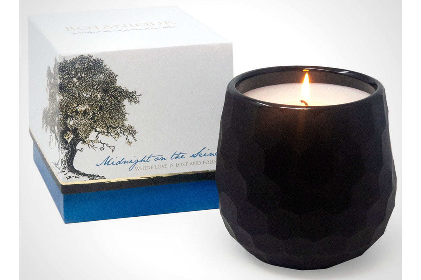 Botanique Black 16 oz Candle by Andaluca Home