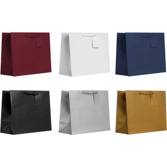 All Occasion Mature Large Solid Paper Gift Bags (6 Pack) by Present Paper