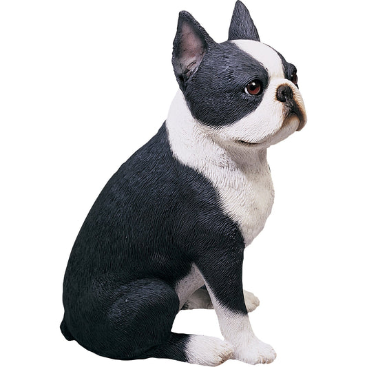 Sandicast "Original Size" Sitting Boston Terrier Dog Sculpture by Present Paper