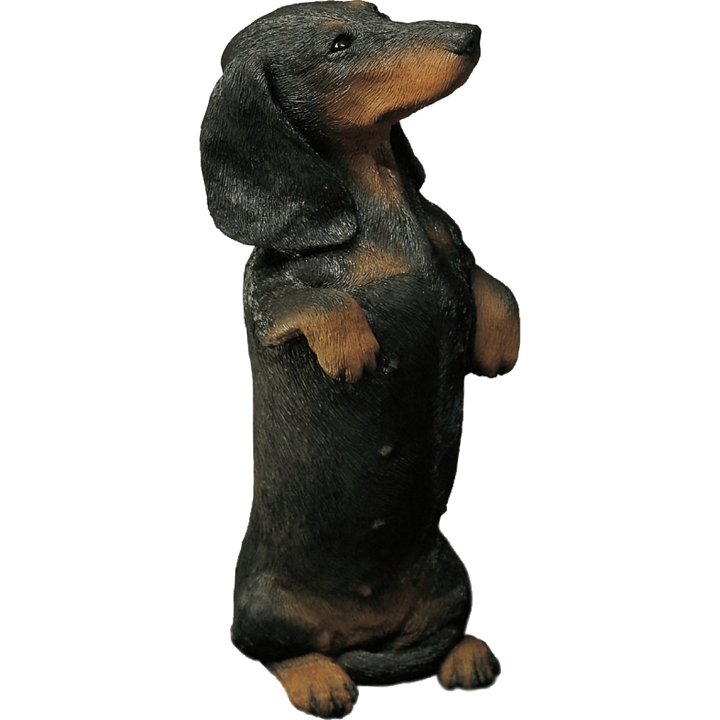 Sandicast "Original Size" Sitting Pretty Black Smooth Dachshund Dog Sculpture by Present Paper