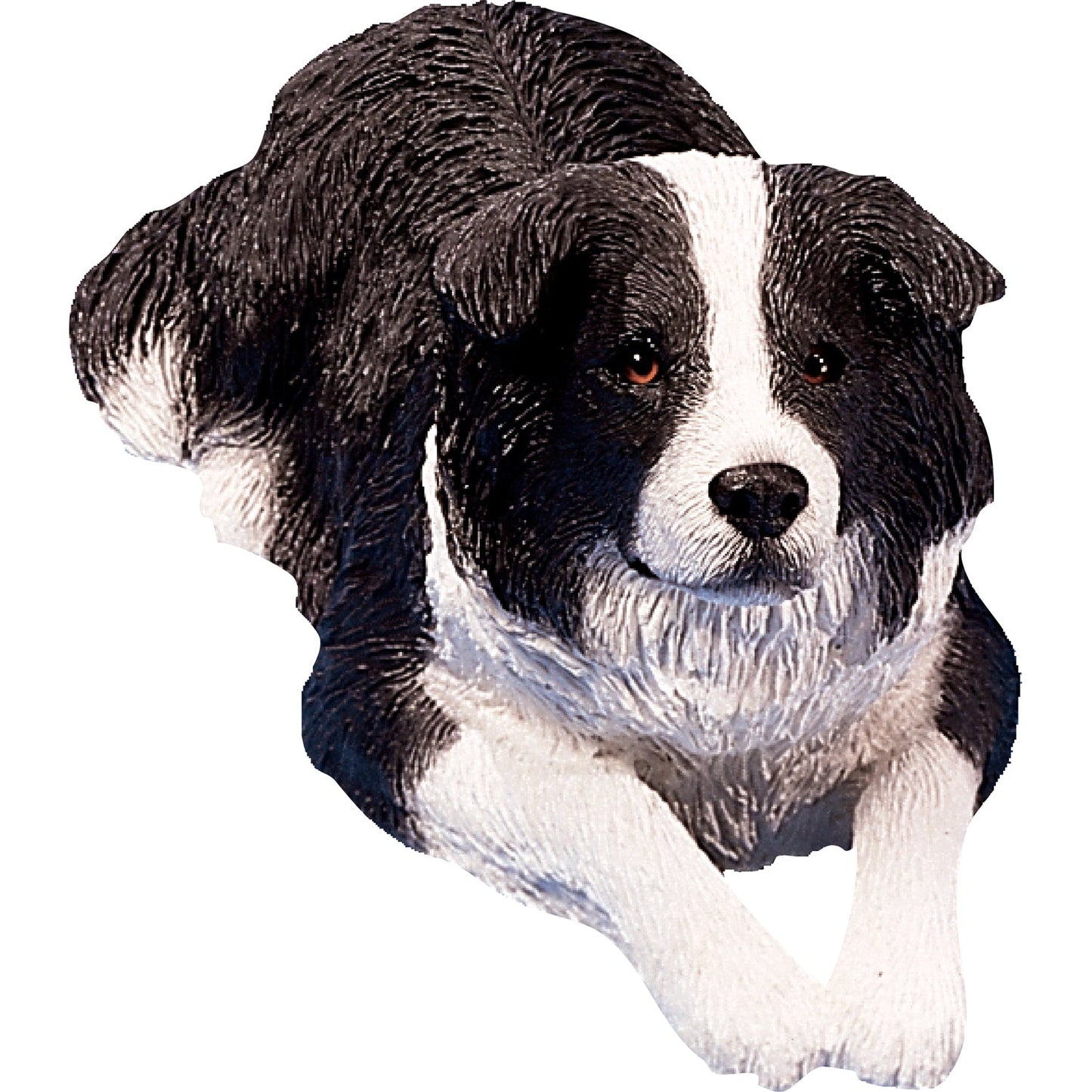 Sandicast "Original Size" Lying Black & White Border Collie Dog Sculpture by Present Paper