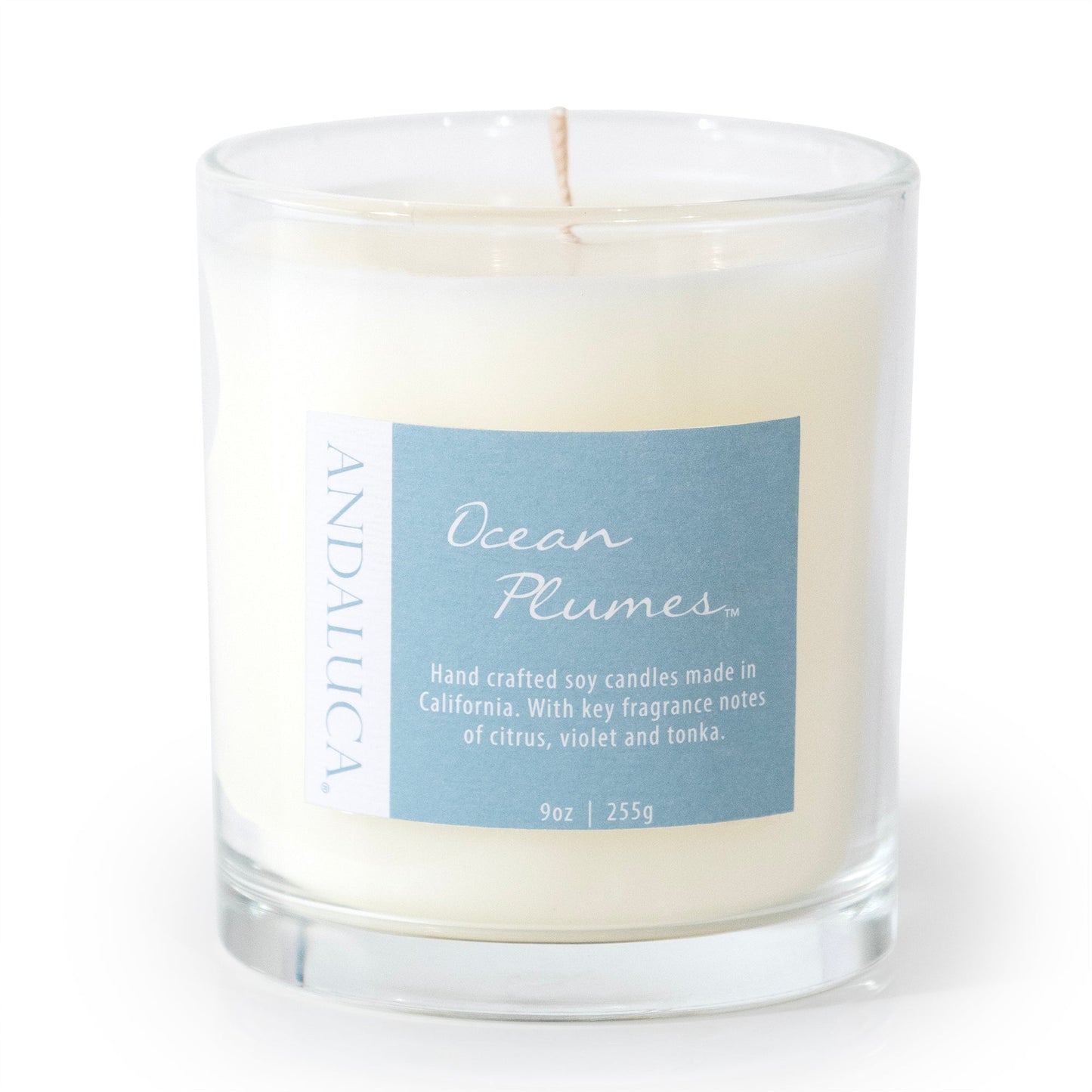 Ocean Plumes 9oz Candle by Andaluca Home