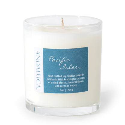 Pacific Isles 9oz Candle by Andaluca Home