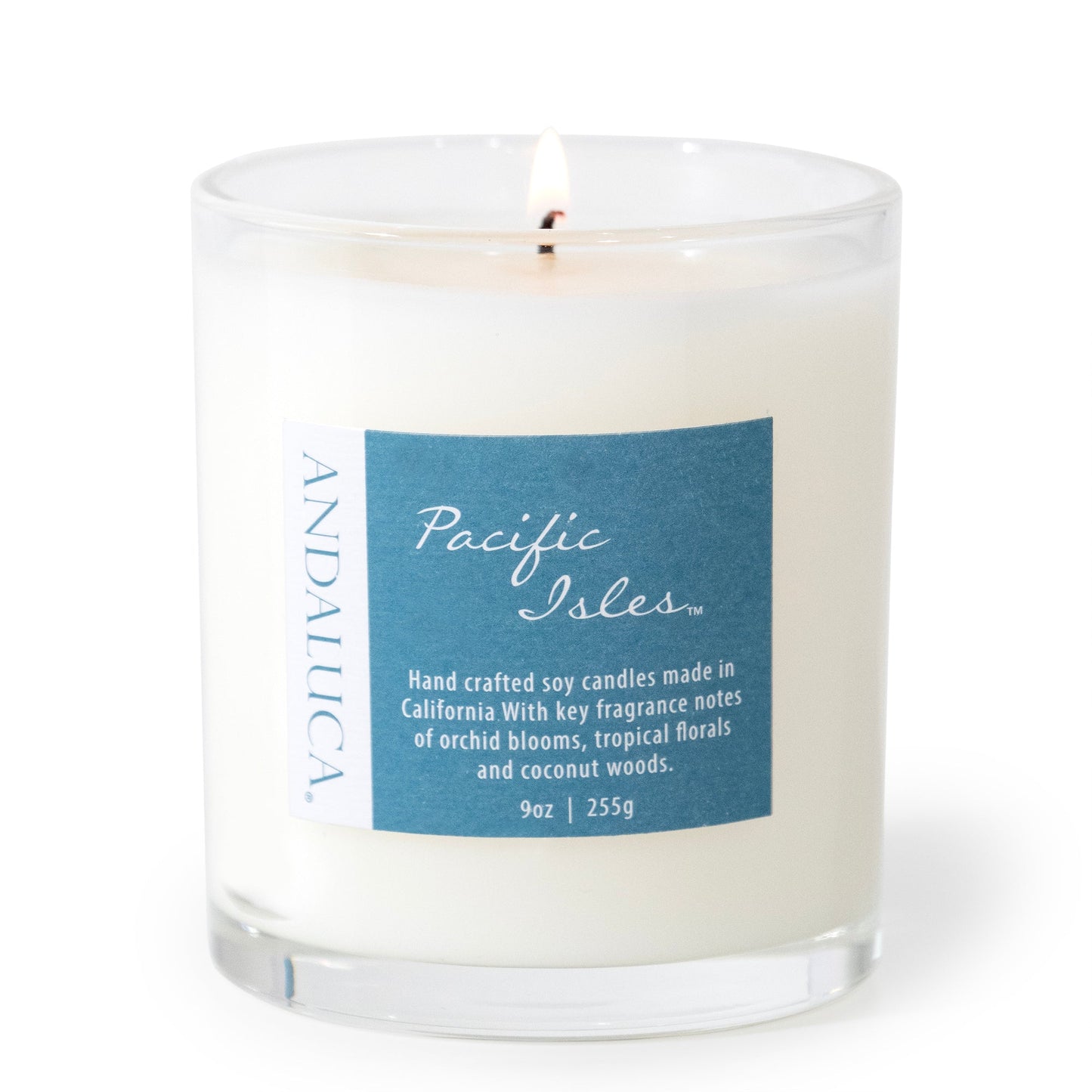 Pacific Isles 9oz Candle by Andaluca Home