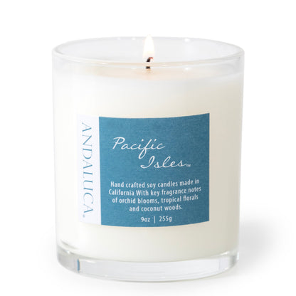 Pacific Isles 9oz Candle by Andaluca Home