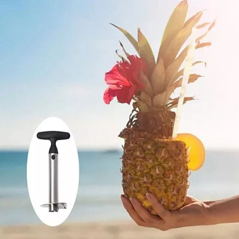 Pretty Prickly Pineapple Peeler The 4P Tool by VistaShops