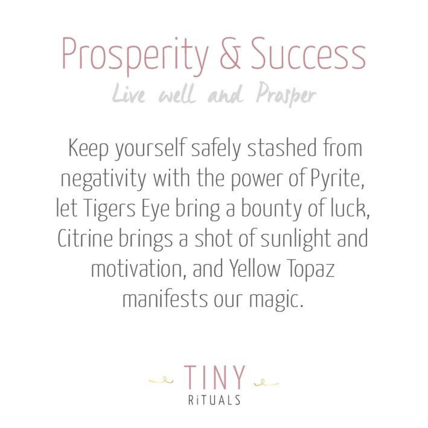 Prosperity & Success Pack by Tiny Rituals