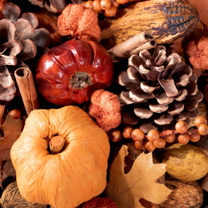 Pumpkin Patch Potpourri by Andaluca Home