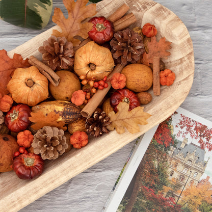 Pumpkin Patch Potpourri by Andaluca Home