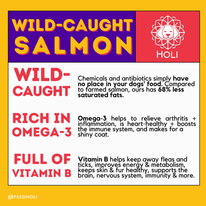 Wild Caught Salmon Dog Treats by HOLI