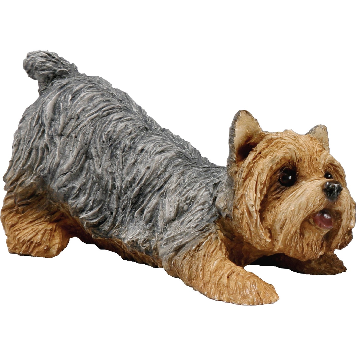 Sandicast "Small Size" Crouching Yorkshire Terrier Dog Sculpture by Present Paper