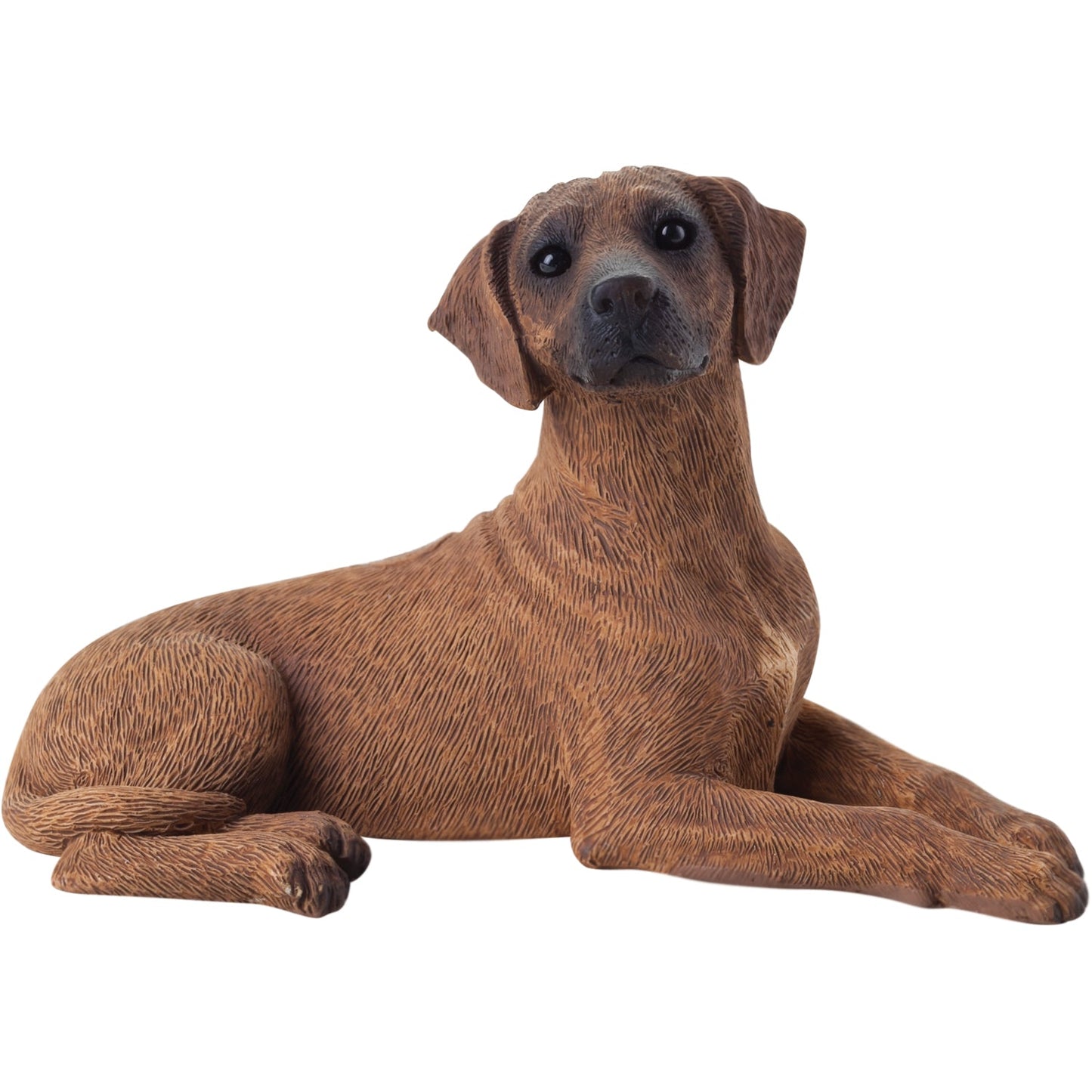 Sandicast "Small Size" Lying Rhodesian Ridgeback Dog Sculpture by Present Paper