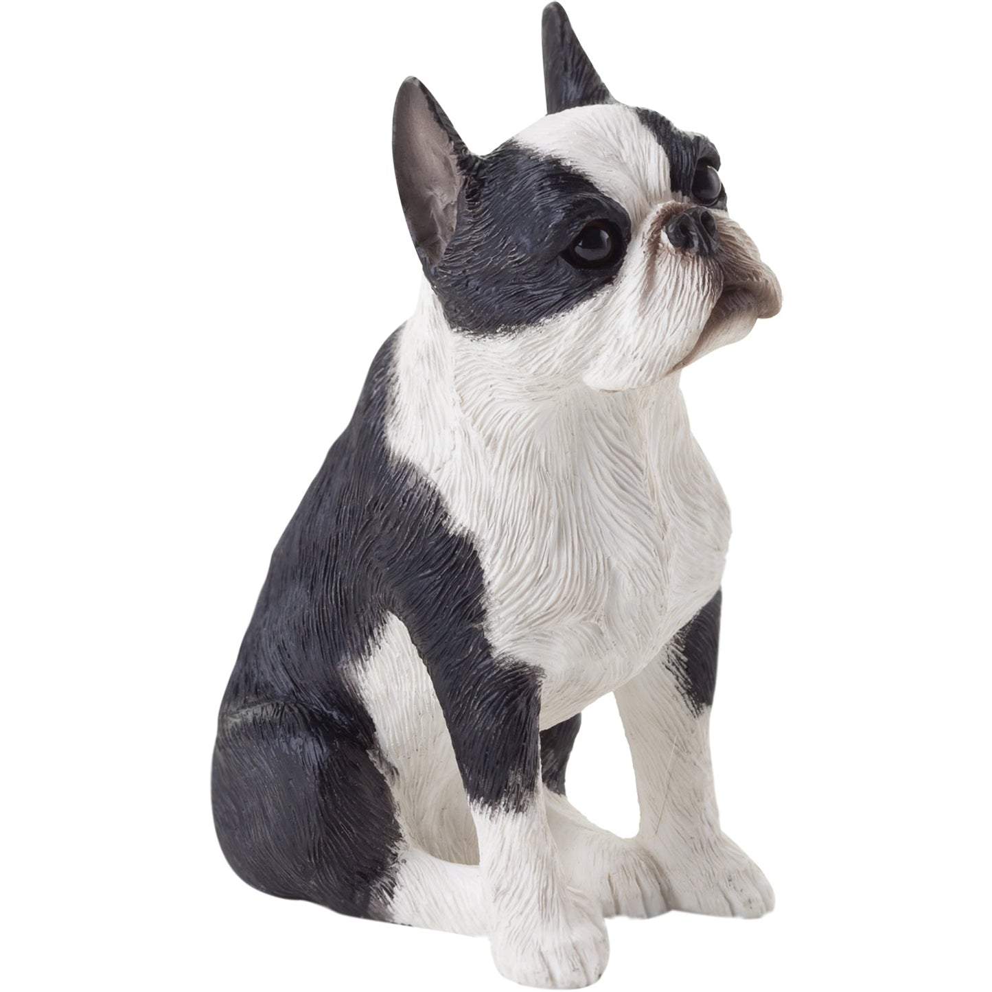 Sandicast "Small Size" Sitting Boston Terrier Dog Sculpture by Present Paper