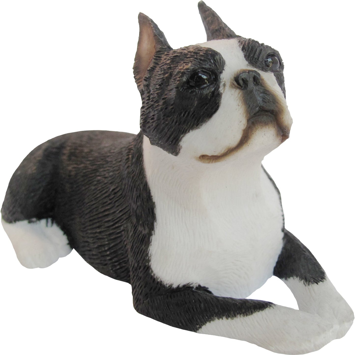 Sandicast "Small Size" Lying Boston Terrier Dog Sculpture by Present Paper