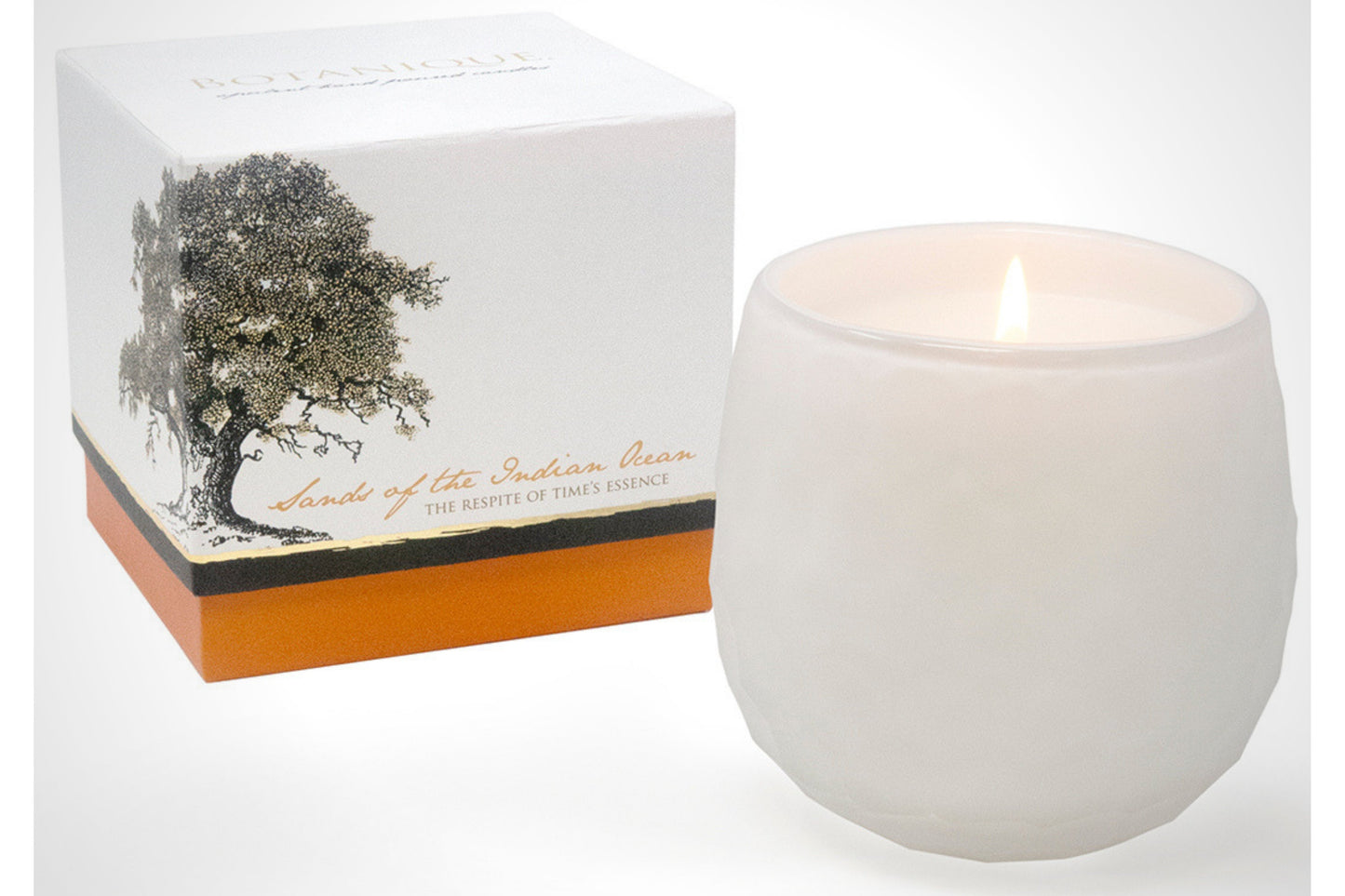 Botanique White 16 oz Candle by Andaluca Home