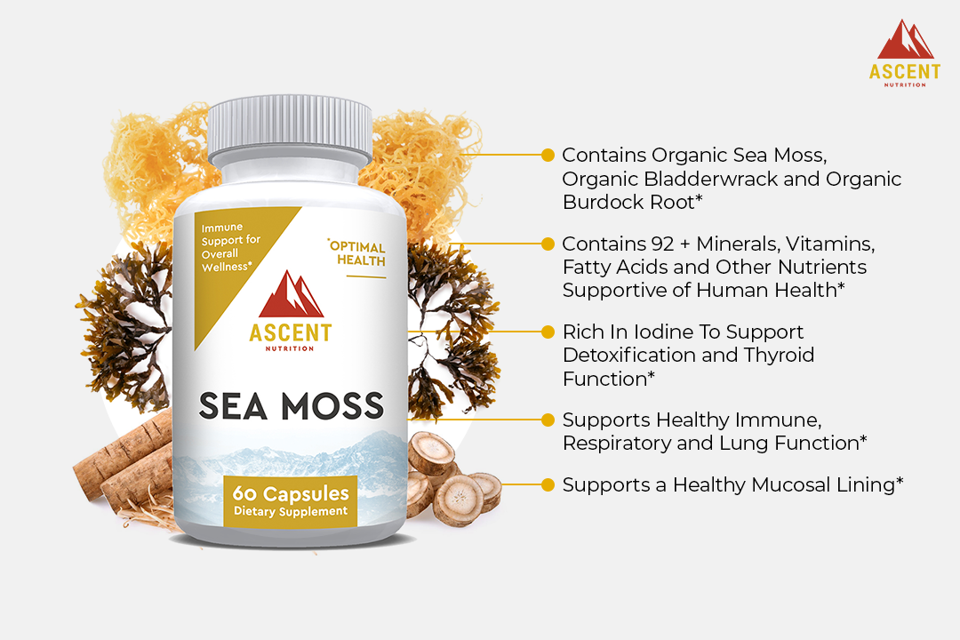 Sea Moss by Ascent Nutrition