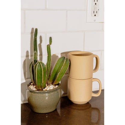 Zion Mug Set by Tuxton Home