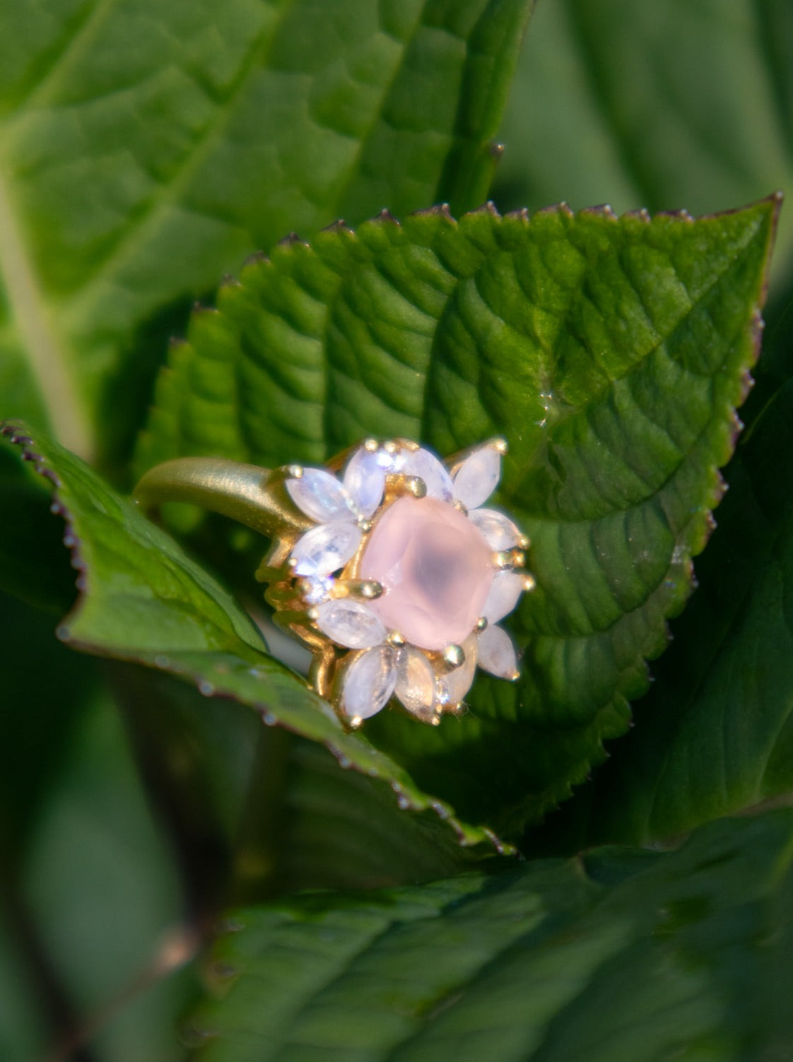 The Full Bloom Ring by Ash & Rose