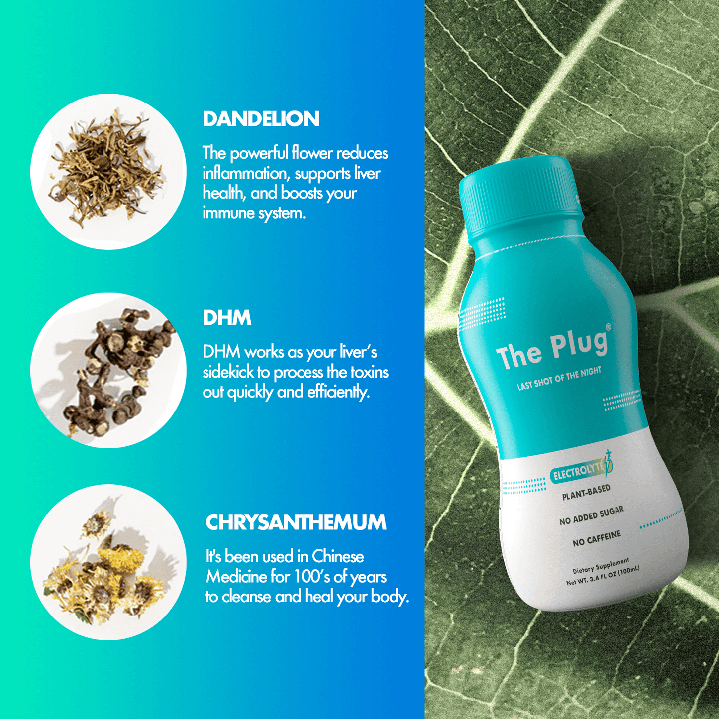 The Plug Drink Plant-based by The Plug Drink