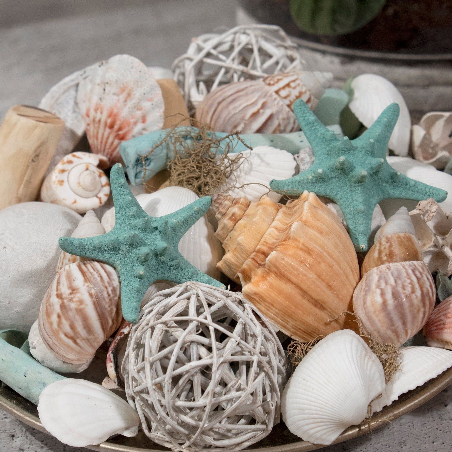 Ocean Plumes Potpourri by Andaluca Home