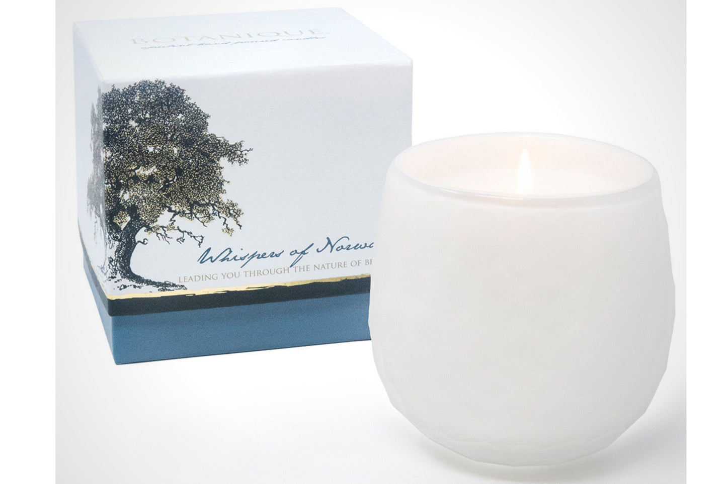 Botanique White 16 oz Candle by Andaluca Home