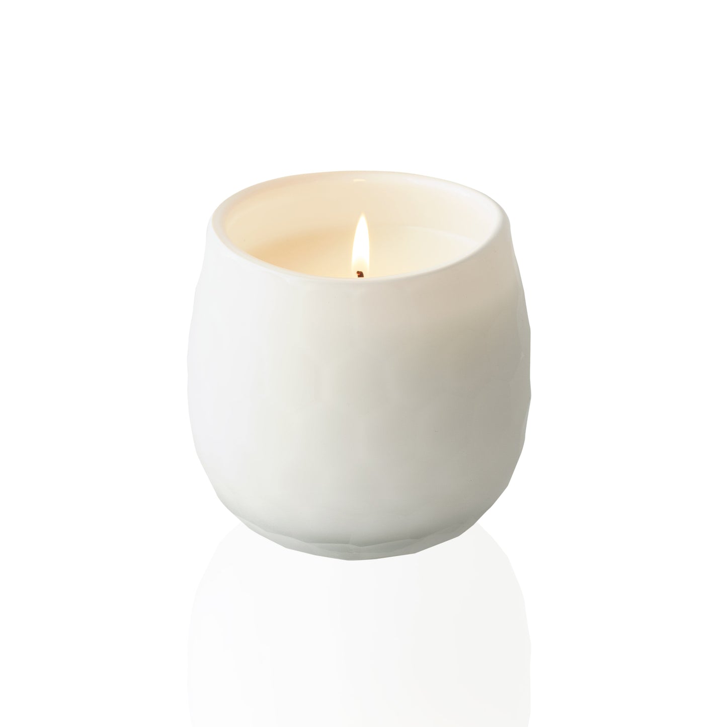 Botanique White 16 oz Candle by Andaluca Home