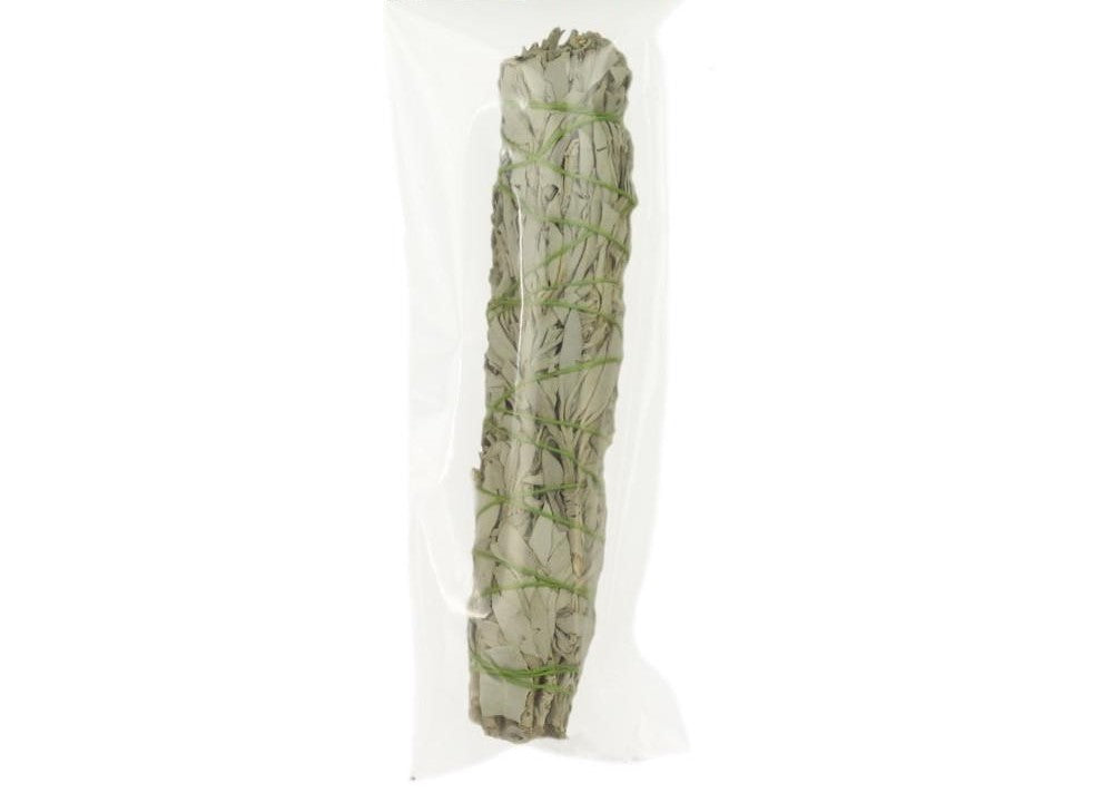 White Sage Smudge Stick - Large Bundle (8"-9.5") by OMSutra