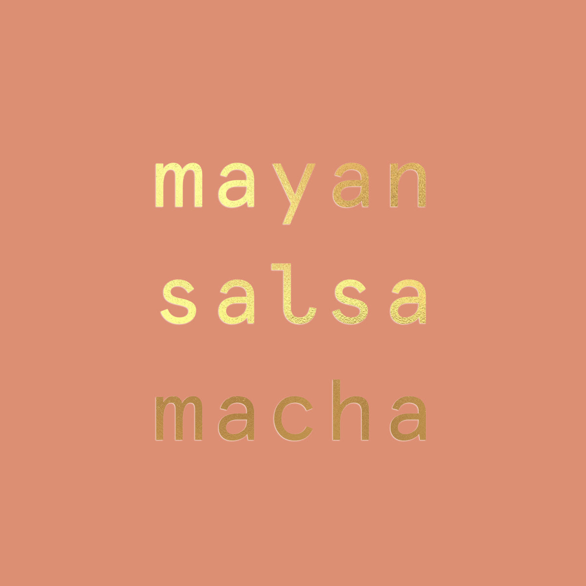 Xilli Mayan Salsa Macha Case - 12 Jars x 10 oz by Farm2Me