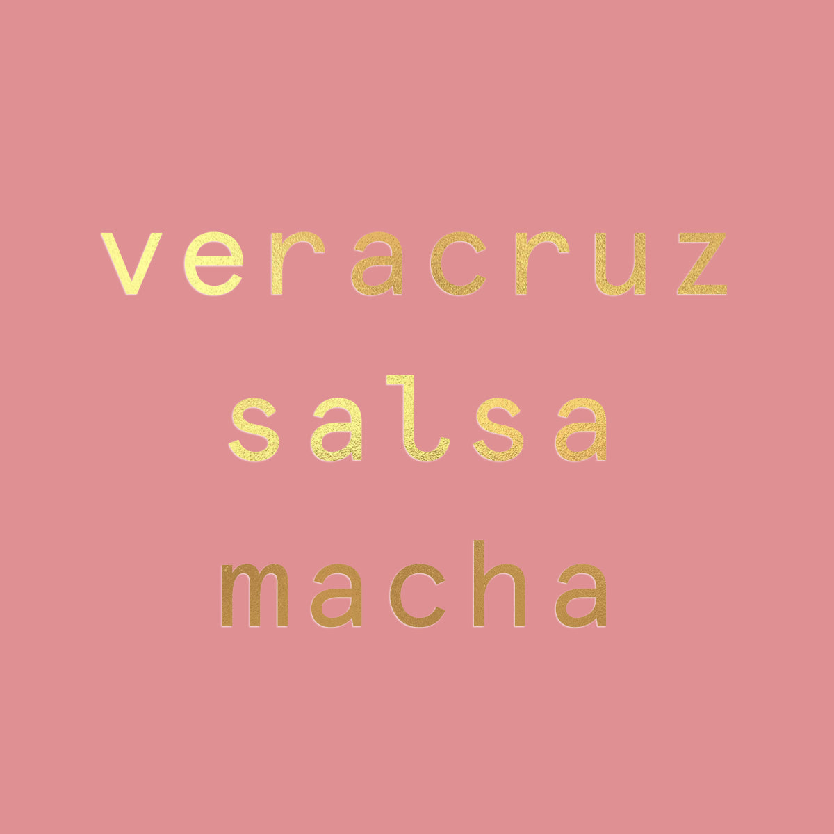 Xilli Veracruz Salsa Macha Case - 12 Jars x 10 oz by Farm2Me