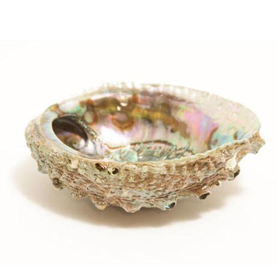 Smudge Ash Tray Burner - Abalone shell - Large 5"-6" by OMSutra