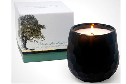 Botanique Black 16 oz Candle by Andaluca Home