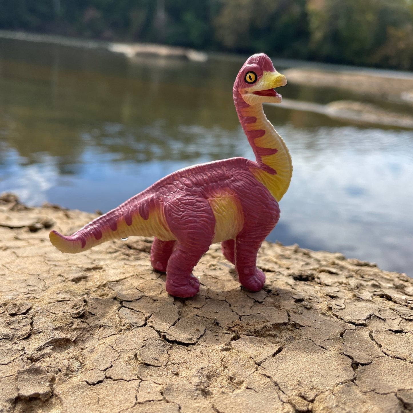 Brachiosaurus Baby Figure by Safari Ltd®