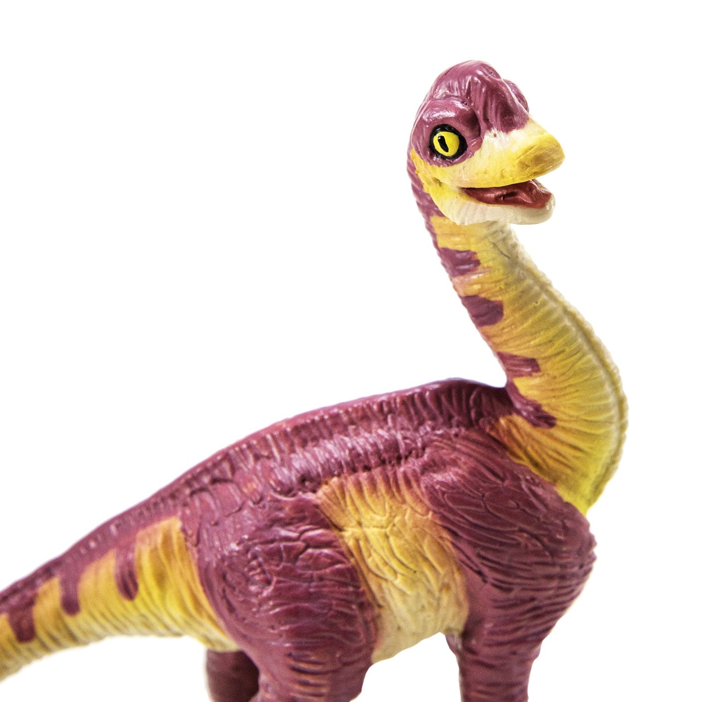 Brachiosaurus Baby Figure by Safari Ltd®