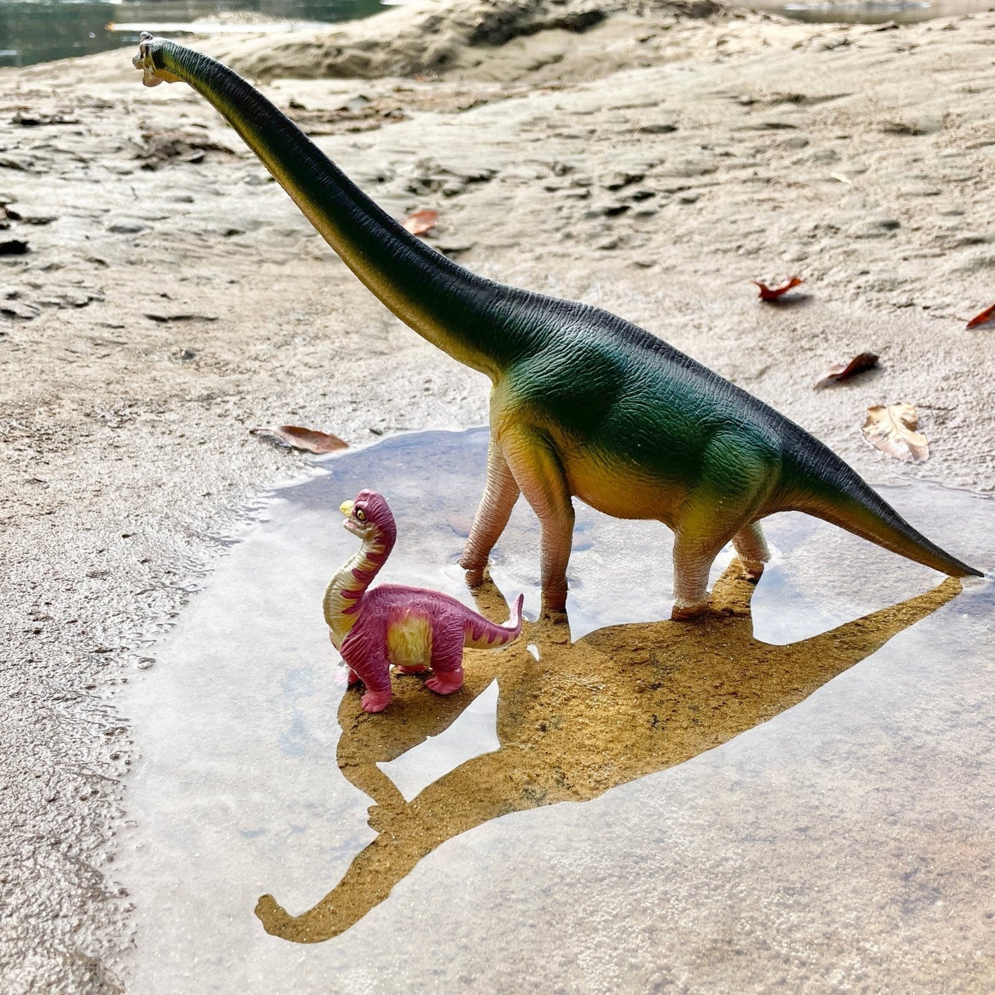 Brachiosaurus Baby Figure by Safari Ltd®