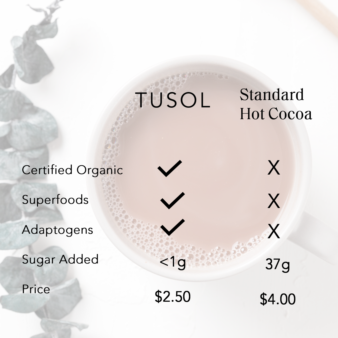 TUSOL Organic Latte Kit (52 Lattes) by TUSOL Wellness