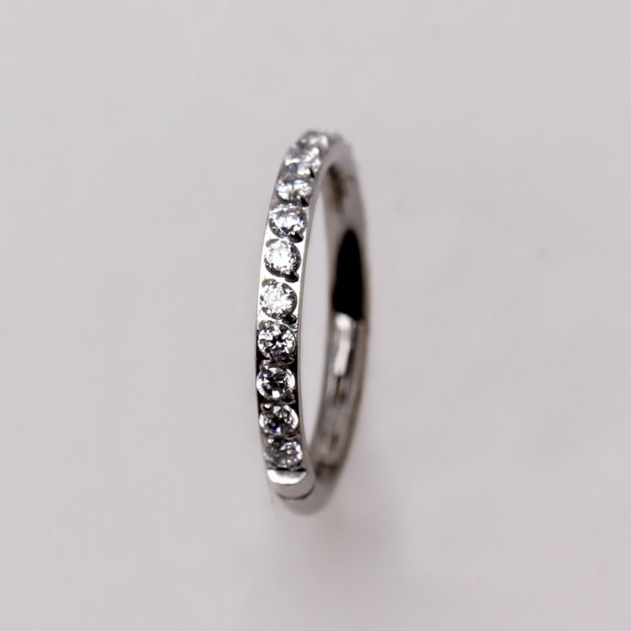 316L Stainless Steel Multi-Jeweled Seamless Clicker Ring by Fashion Hut Jewelry